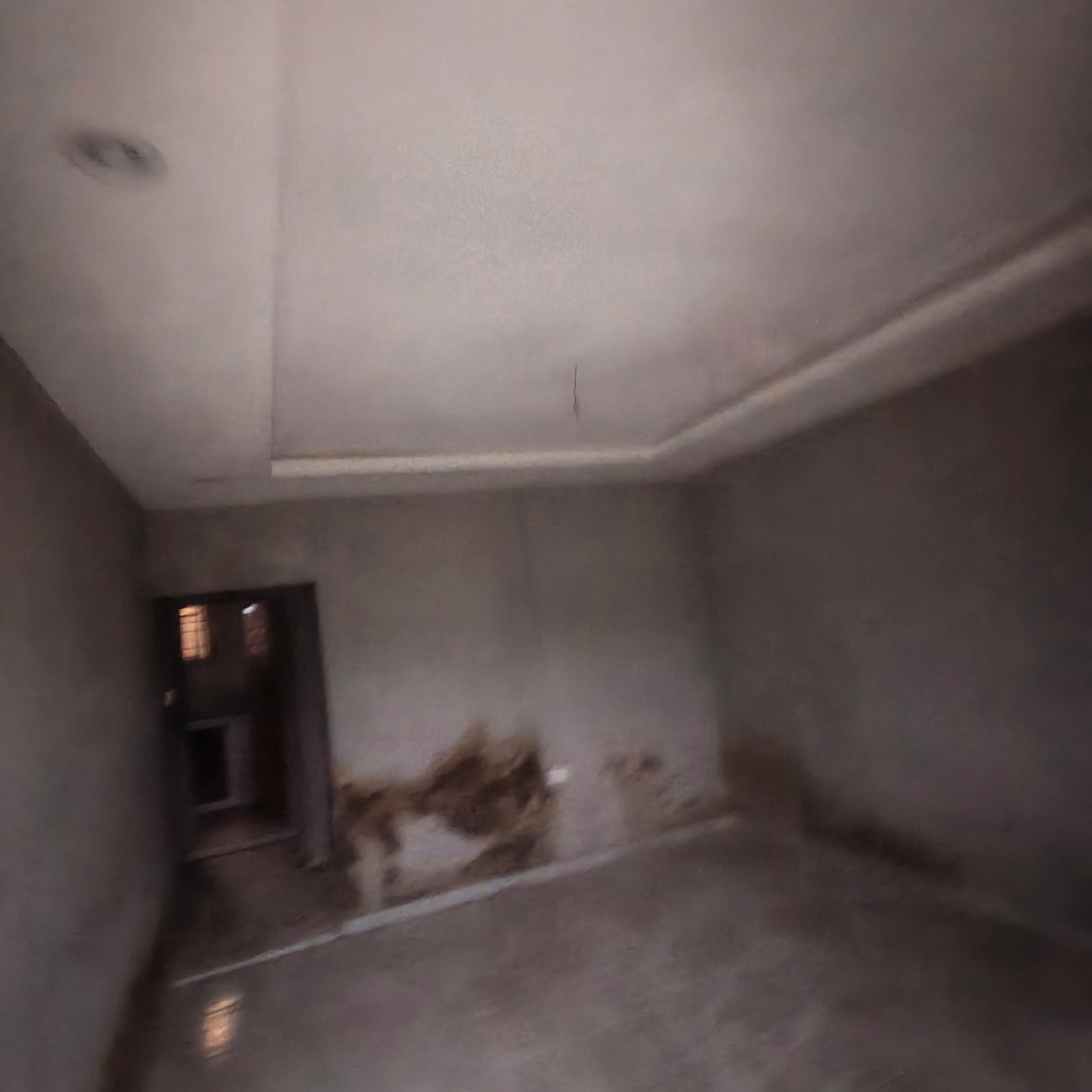 POP Mini Flat Near Bus Stop property image